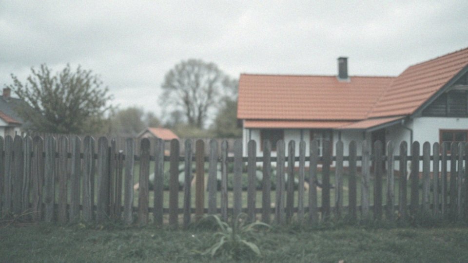Jakie są prawo sąsiedzkie dotyczące hałasu zwierząt?