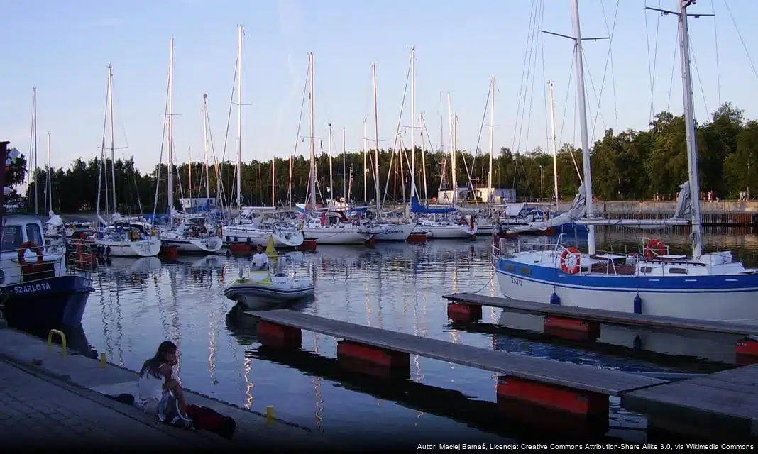 Wycinka drzew w parku gminnym w Łebie z powodu złego stanu zdrowotnego