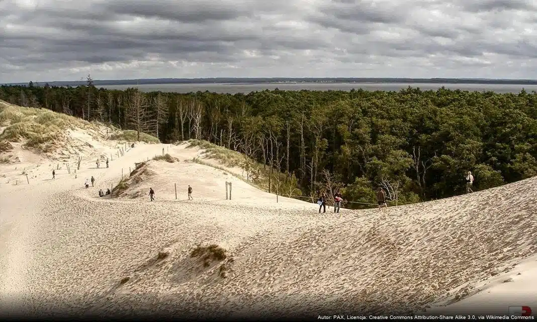 Nowy projekt „Siła kobiet” zyskał wsparcie unijne w Pomorskiem