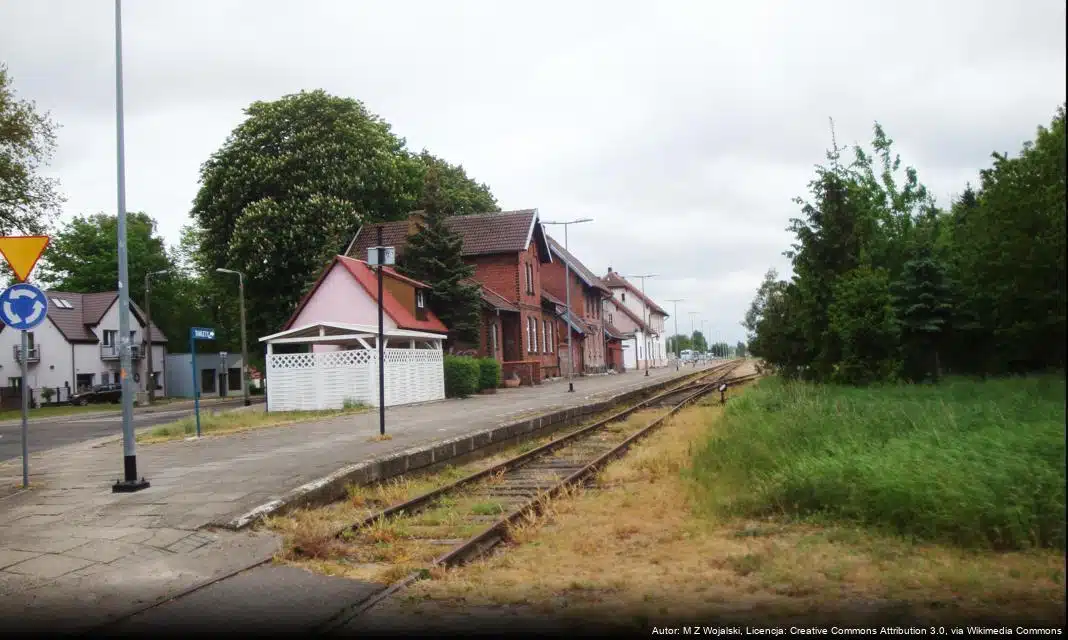 Dzierżawa terenów przyplażowych w Łebie – szansa na rozwój biznesu